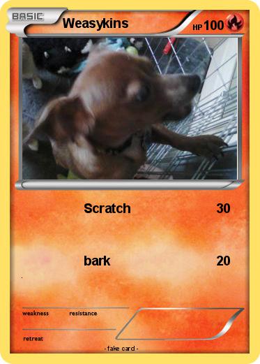 Pokemon Weasykins