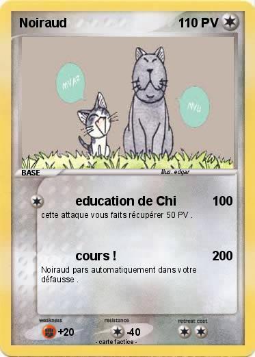 Pokemon Noiraud