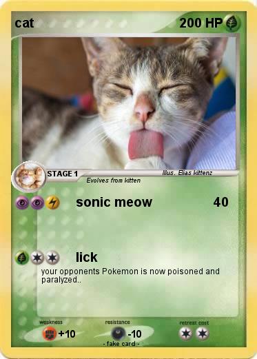 Pokemon cat