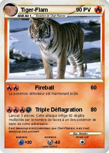 Pokemon Tiger-Flam