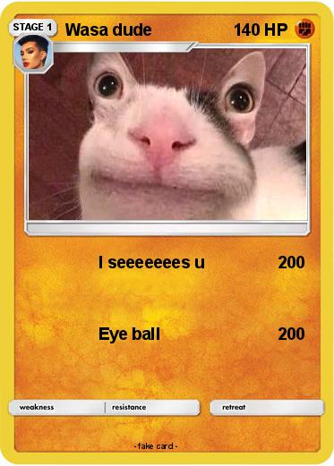 Pokemon Wasa dude