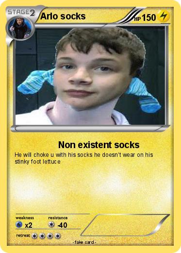 Pokemon Arlo socks