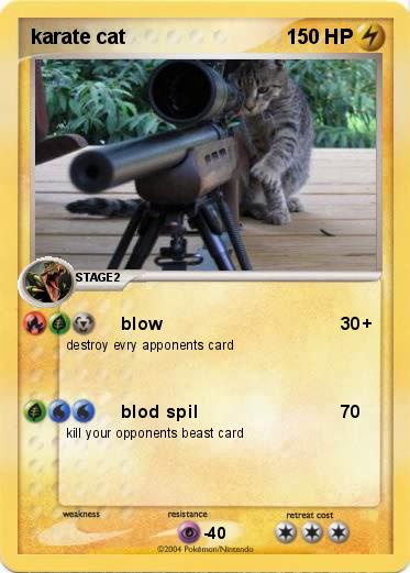 Pokemon karate cat