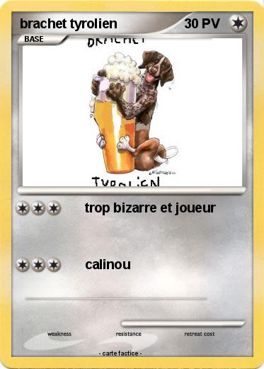 Pokemon brachet tyrolien