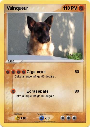 Pokemon Vainqueur