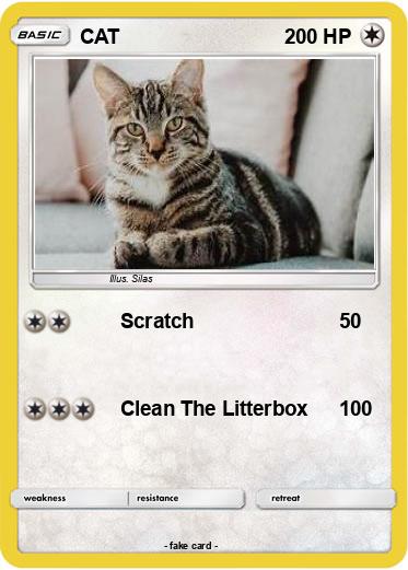 Pokemon CAT