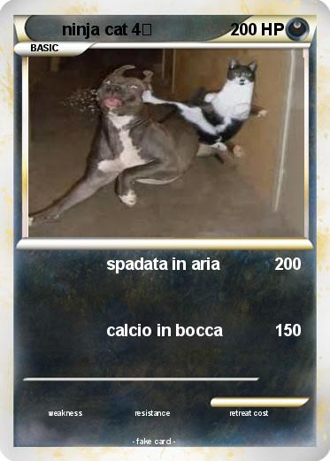 Pokemon ninja cat 4回