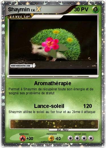 Pokemon Shaymin