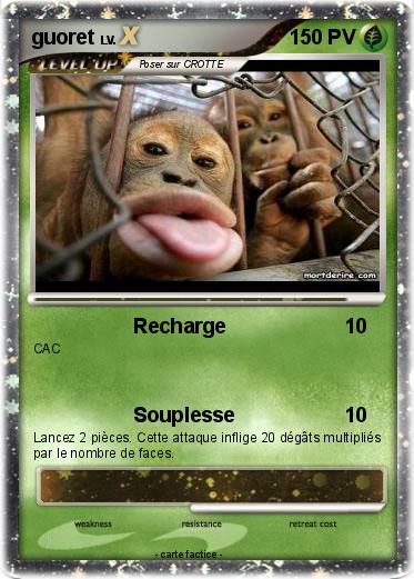 Pokemon guoret