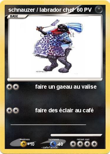 Pokemon schnauzer / labrador chef