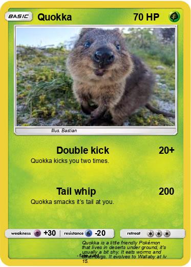 Pokemon Quokka
