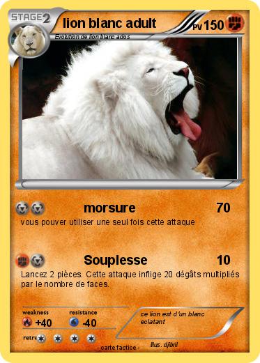 Pokemon lion blanc adult