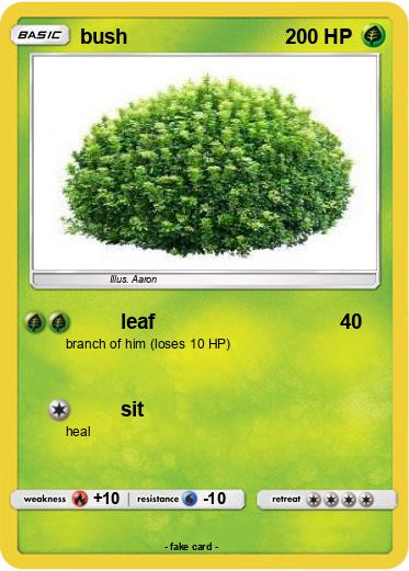 Pokemon bush