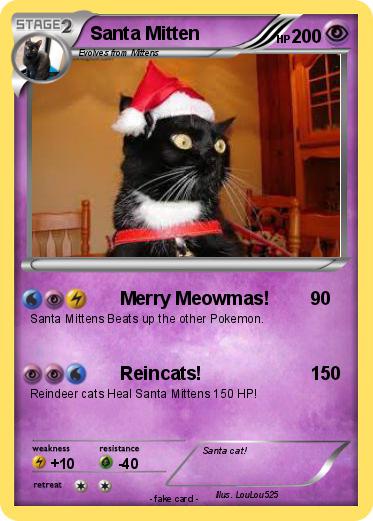 Pokemon Santa Mitten