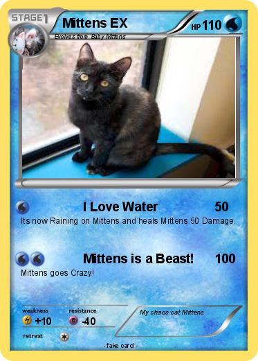 Pokemon Mittens EX