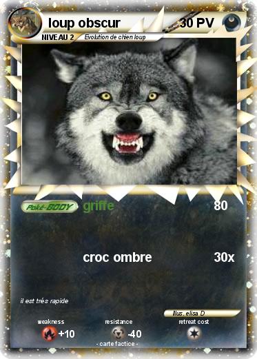 Pokemon loup obscur