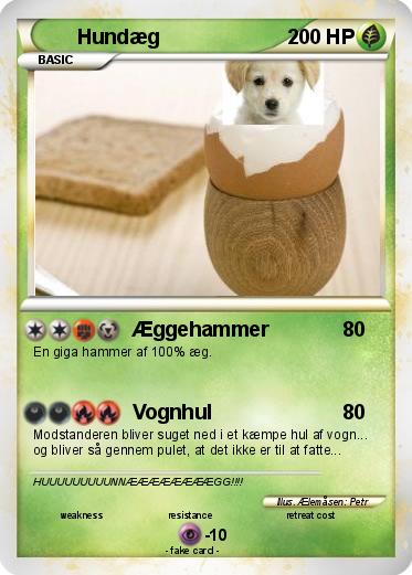 Pokemon Hundæg