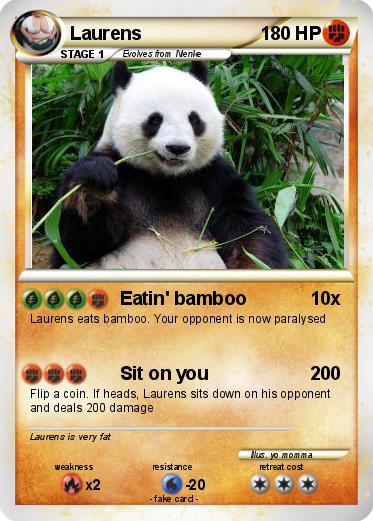 Pokemon Laurens