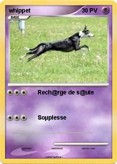 Pokemon whippet