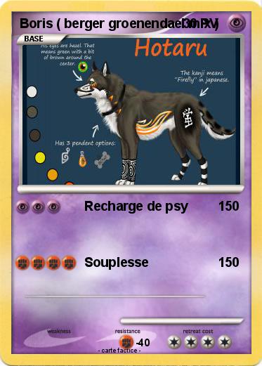 Pokemon Boris ( berger groenendael mix )
