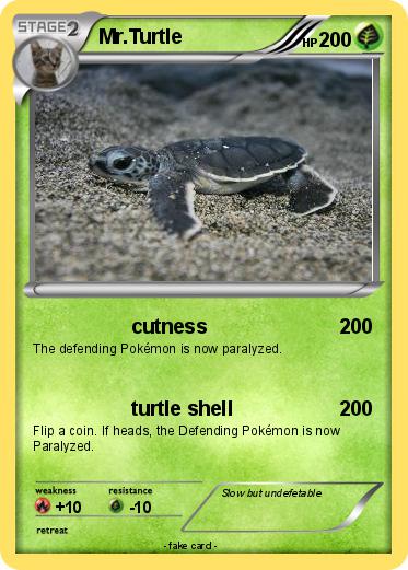 Pokemon Mr.Turtle