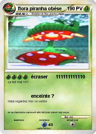 Pokemon flora piranha obèse