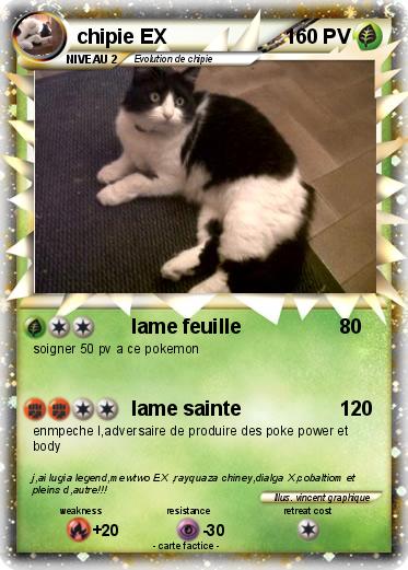 Pokemon chipie EX