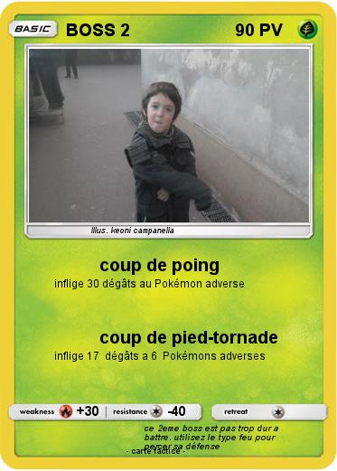 Pokemon BOSS 2