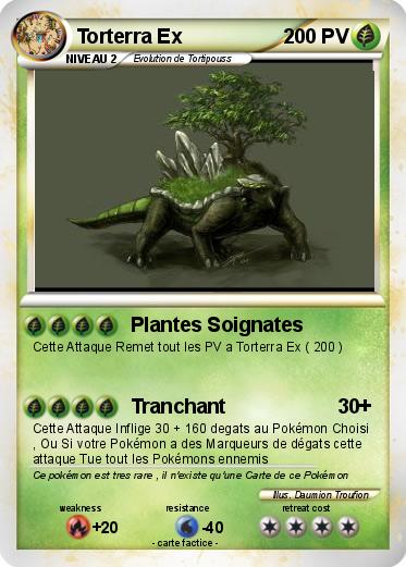 Pokemon Torterra Ex