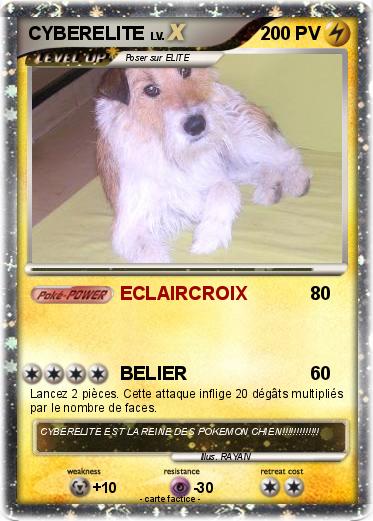 Pokemon CYBERELITE