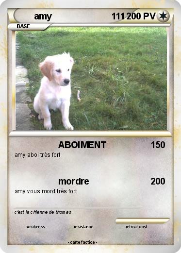 Pokemon amy                        111