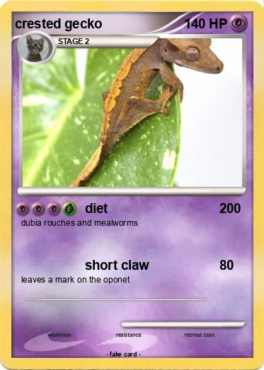 Pokemon crested gecko