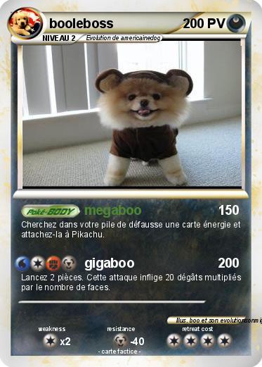 Pokemon booleboss