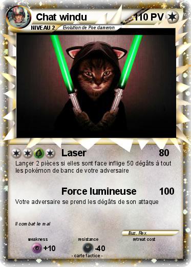 Pokemon Chat windu
