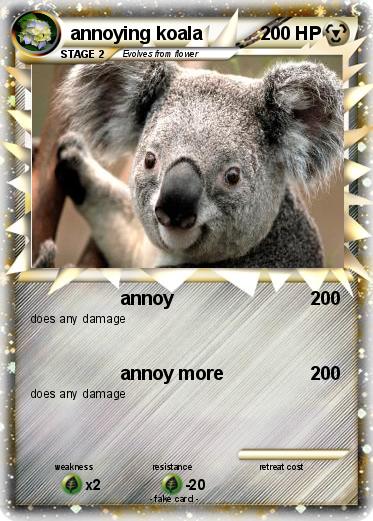 Pokemon annoying koala
