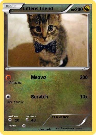 Pokemon Littens friend