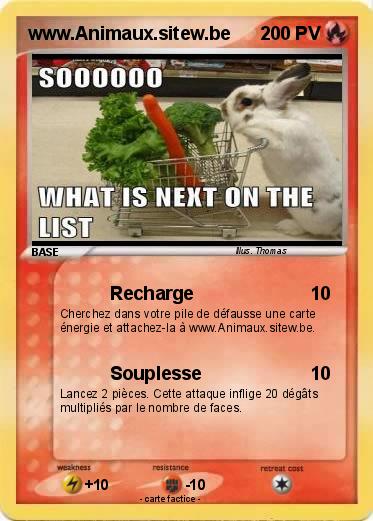 Pokemon www.Animaux.sitew.be