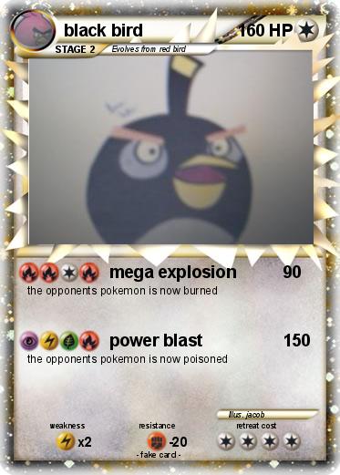 Pokemon black bird