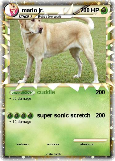 Pokemon marlo jr.