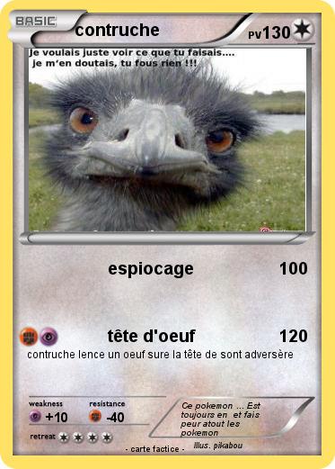 Pokemon contruche