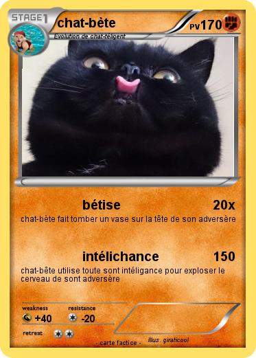 Pokemon chat-bète
