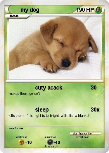 Pokemon my dog