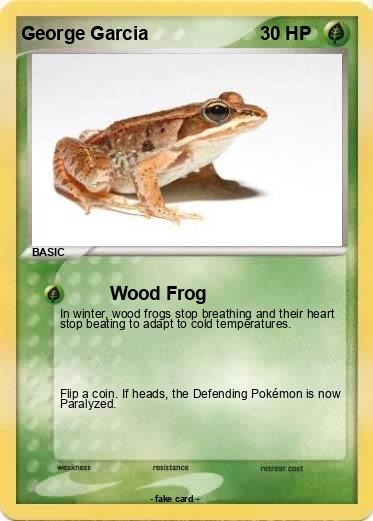 Pokemon George Garcia