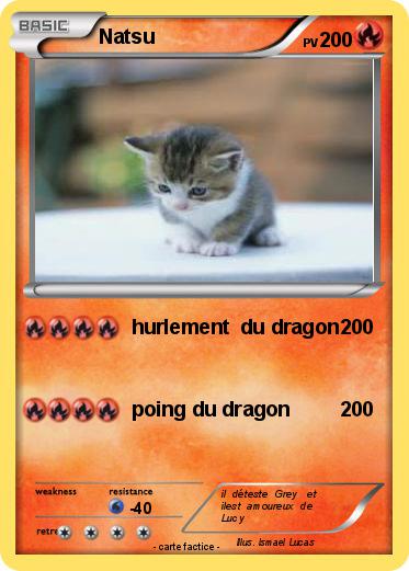 Pokemon Natsu