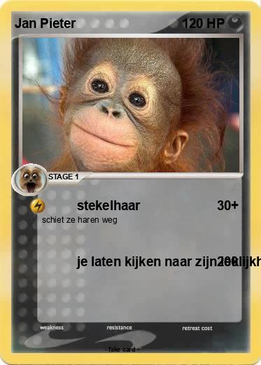 Pokemon Jan Pieter