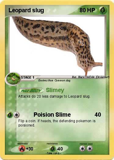 Pokemon Leopard slug