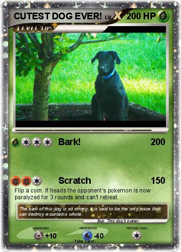 Pokemon CUTEST DOG EVER!