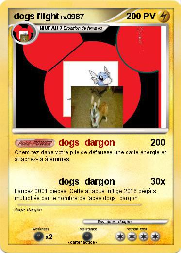Pokemon dogs flight