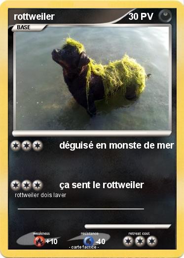 Pokemon rottweiler
