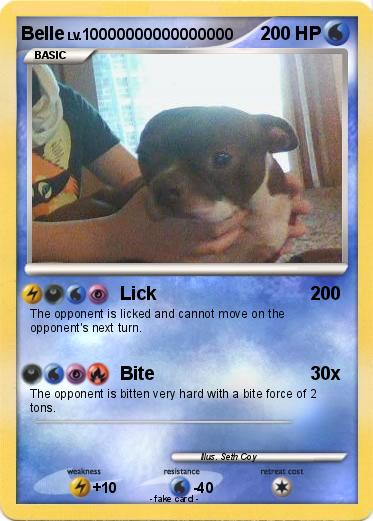 Pokemon Belle